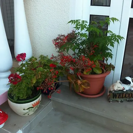 Slavko Supetarska Draga