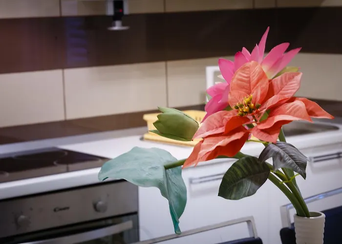 Slavko سوبيتارسكا دراغا